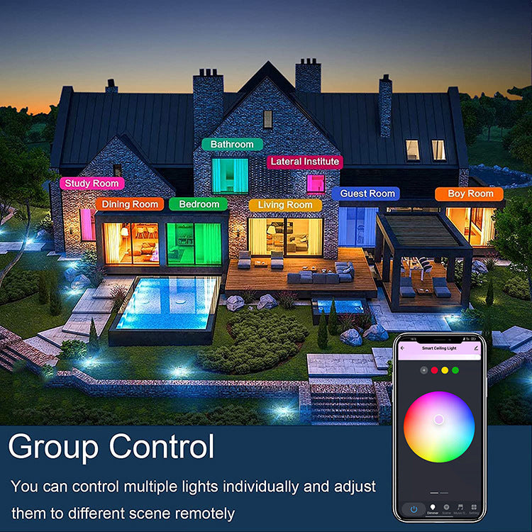 Crow Intelligent Round Tri-proof LED Ceiling Light RGB+CCT