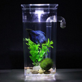 Self-Cleaning Fish Tank, No Water Change Needed