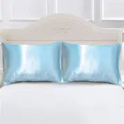Soft Satin Pillowcases - Set of 2 (Pillow Insert Not Included)