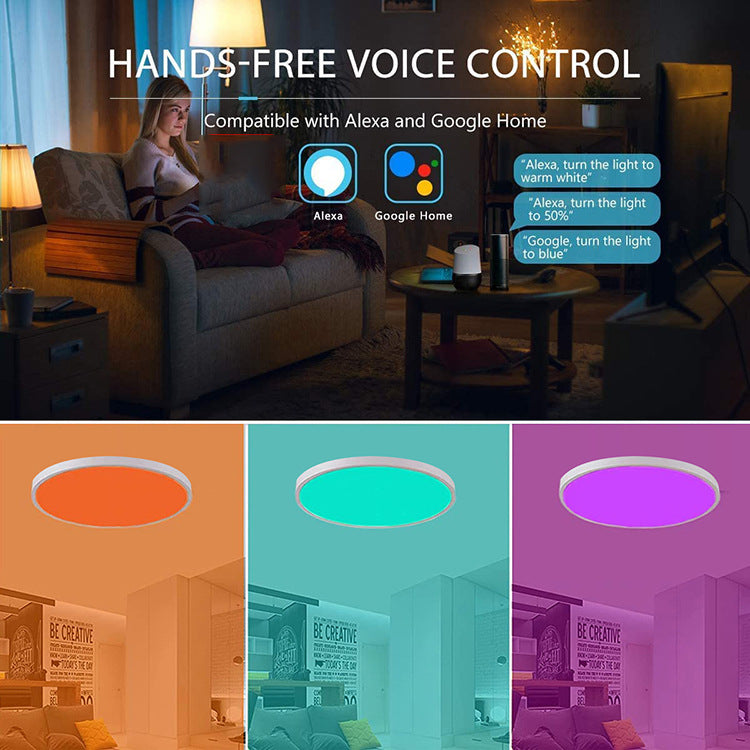 Crow Intelligent Round Tri-proof LED Ceiling Light RGB+CCT