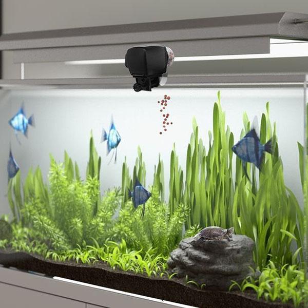 Automatic Fish Feeder for Aquarium with Timer System